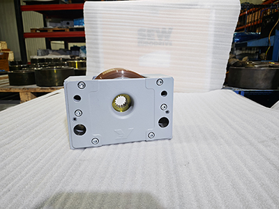 Demag DRS 315 Wheel Block System for Semiconductor AS/RS