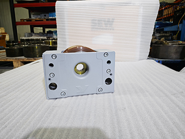 Demag DRS 315 Wheel Block System for Semiconductor AS/RS